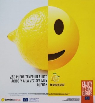 Welcome to the Lemon Age
